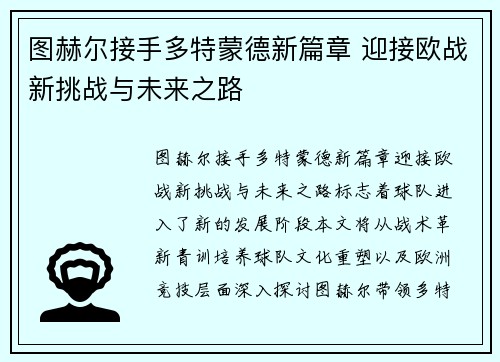 图赫尔接手多特蒙德新篇章 迎接欧战新挑战与未来之路
