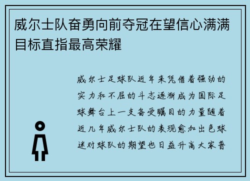 威尔士队奋勇向前夺冠在望信心满满目标直指最高荣耀
