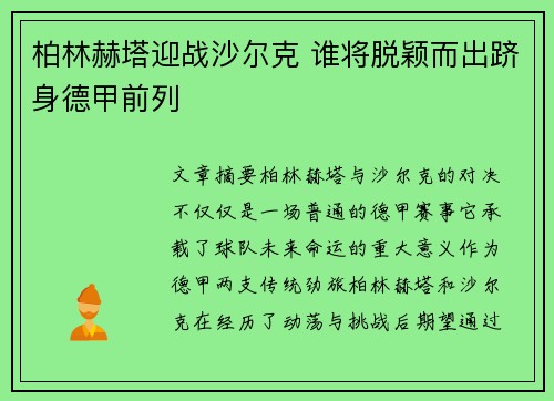 柏林赫塔迎战沙尔克 谁将脱颖而出跻身德甲前列